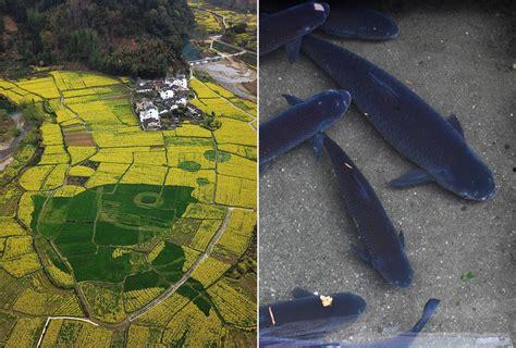 国产1区2区3区4区,一区二区三区四区魅力解析