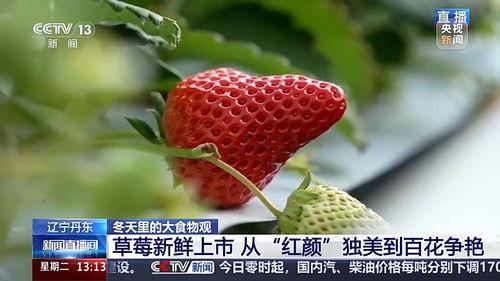 国产草莓视频